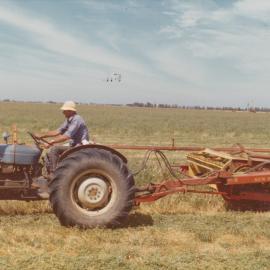 Harvesting Lucerne