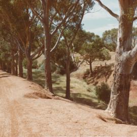 Adams Road, Smithfield