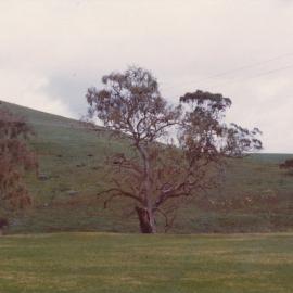 Gould's Creek Property