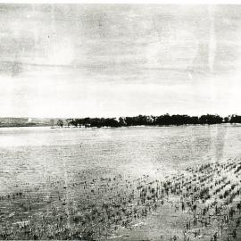 Smithfield Plains Floods