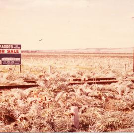 Davoren Road, Railway Line: 1965