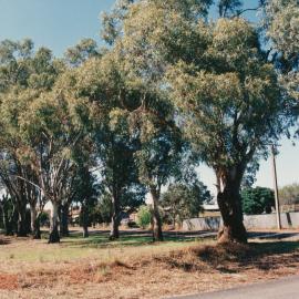 Augusta Square, Smithfield