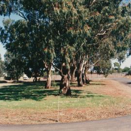 Augusta Square, Smithfield