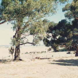 Former One Tree Hill Inn