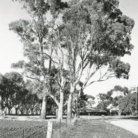 Former One Tree Hill Inn