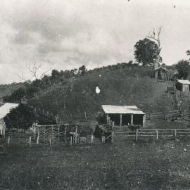 Attyford Farm, One Tree Hill