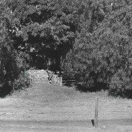 Cumberland Farm, One Tree Hill