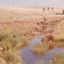 Cumberland Farm, One Tree Hill