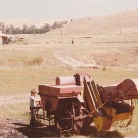 Cumberland Farm, One Tree Hill