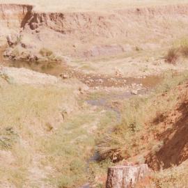 Cumberland Farm, One Tree Hill