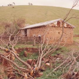 Cumberland Farm, One Tree Hill