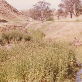 Cumberland Farm, One Tree Hill