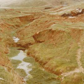 Cumberland Farm, Little Para