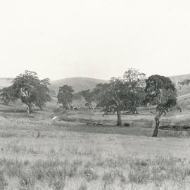 Cumberland Farm, One Tree Hill