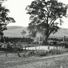 Little Para River Orangery