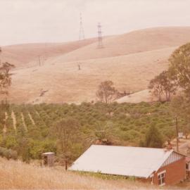 Little Para Orangery