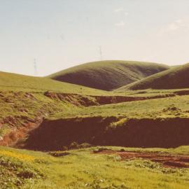 Little Para Orangery