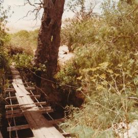 Little Para Orangery