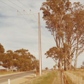 Blacktop Hill Road, One Tree Hill: 1976