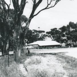 Blacktop Road, One Tree Hill