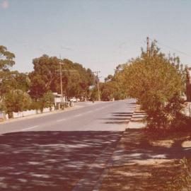 One Tree Hill Main Road