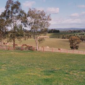 Uley Road, One Tree Hill