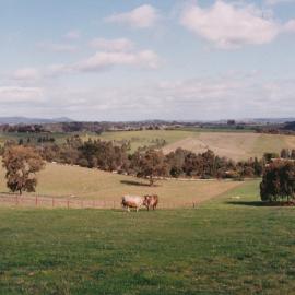 Uley Road, One Tree Hill