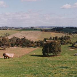 Uley Road, One Tree Hill