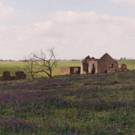 Ruins of High Farm, One Tree Hill