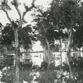 John's Farm, Penfield