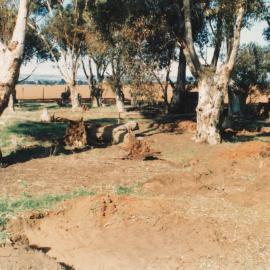 Petherton Road Farm Project