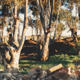 Petherton Road Farm Project