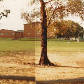 Elizabeth East Primary school: 1987