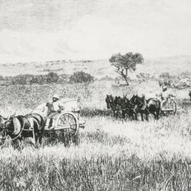 Riggs Farm at Evanston