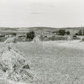 Evanston Gardens Farms : 1978