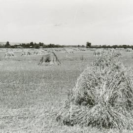 Evanston Gardens Farms : 1978