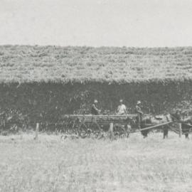 Jack Coopers Farm, Evanston Gardens