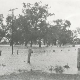 Jack Coopers Farm, Evanston Gardens