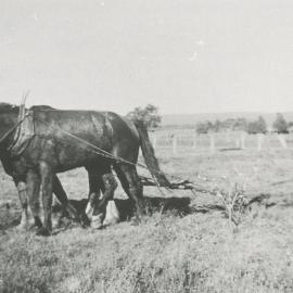Jack Cooper's Farm, Evanston Gardens