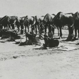 Gawler Light Horse Troops