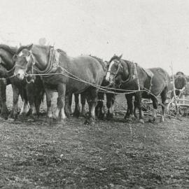 Phineas Baker's Farm, Virginia
