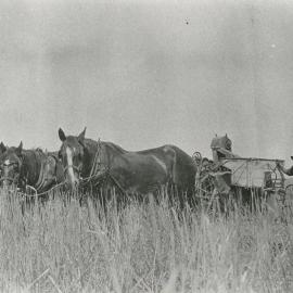 Albert Hatcher and Levi Mayes