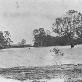 Gawler River in Flood