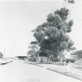 South Australian Housing Trust