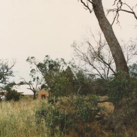 Willow Grove, Angle Vale