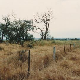 Willow Grove, Angle Vale