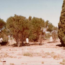 Carclew Cemtery: Angle Vale