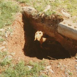 Little Para Cemetery: Williams family