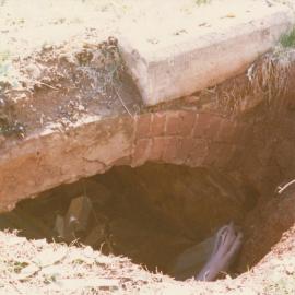 Little Para Weslyan Cemtery: Williams family