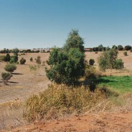 Jacaranda Heights, Craigmore